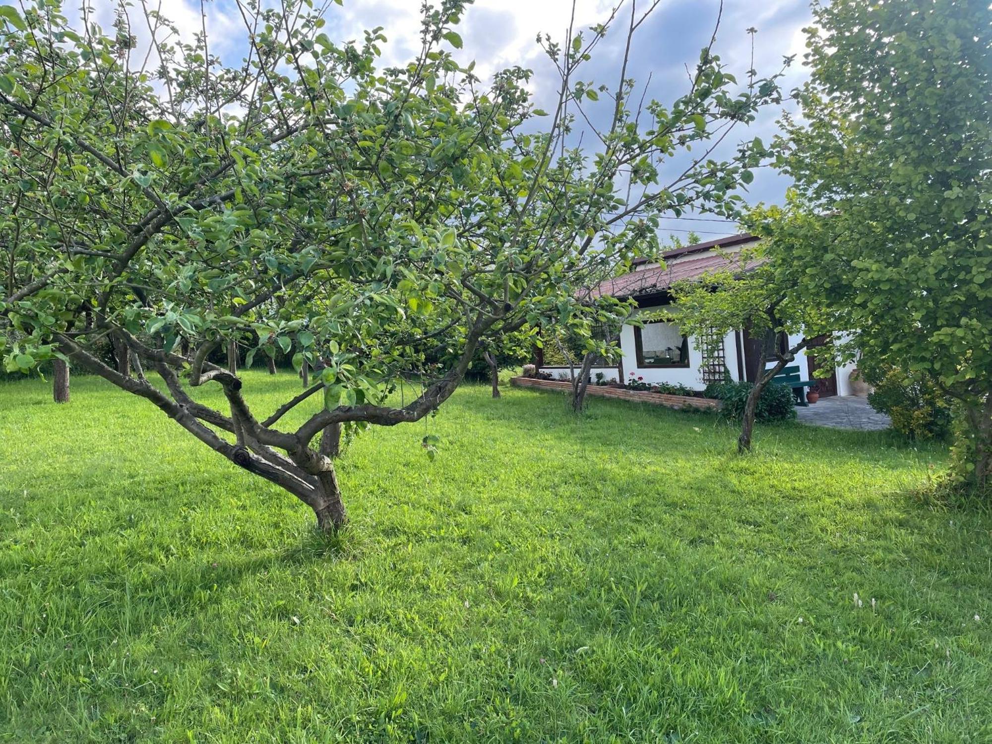 Casa Benjamin Βίλα Οβιέδο Εξωτερικό φωτογραφία