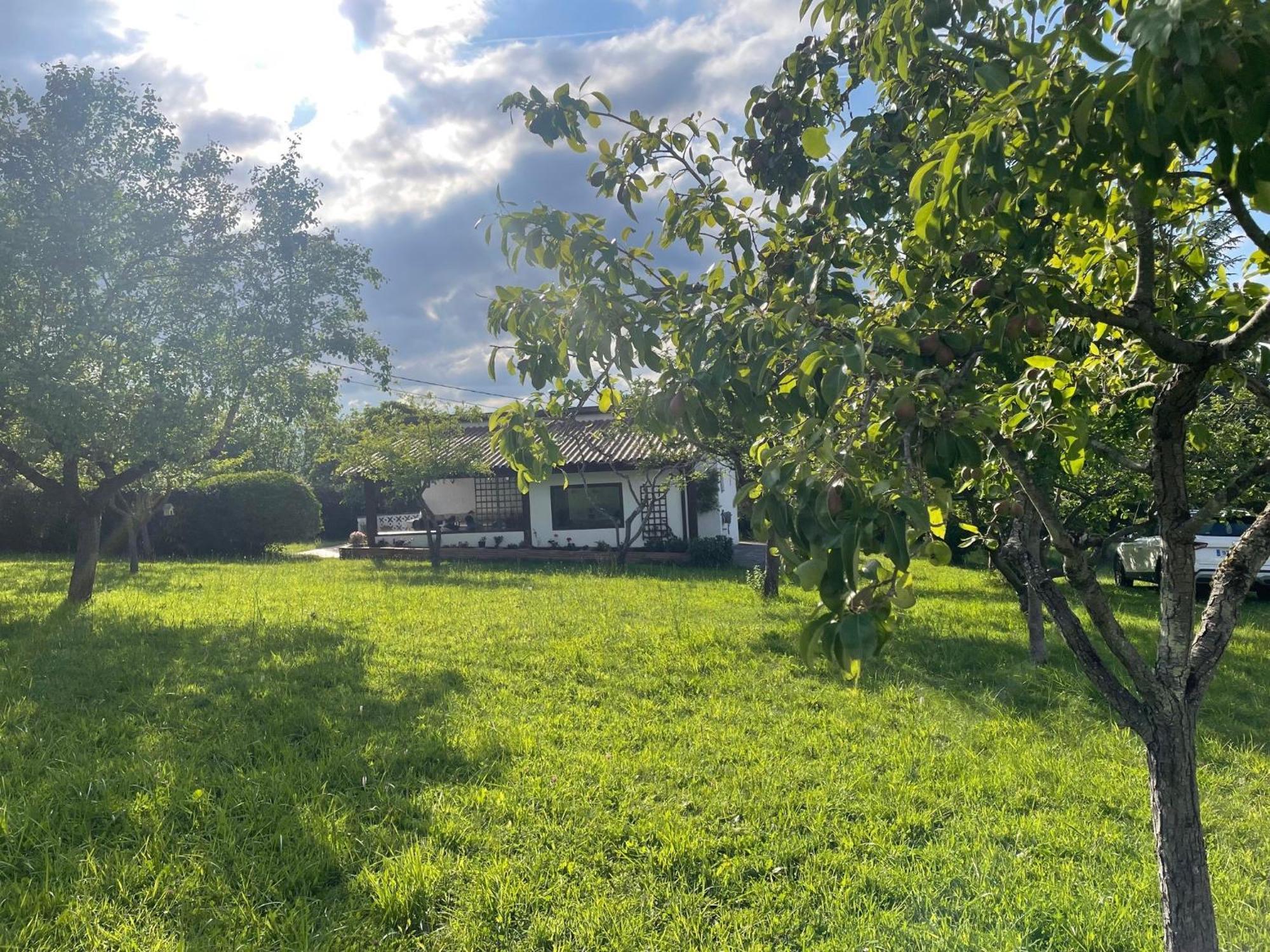 Casa Benjamin Βίλα Οβιέδο Εξωτερικό φωτογραφία