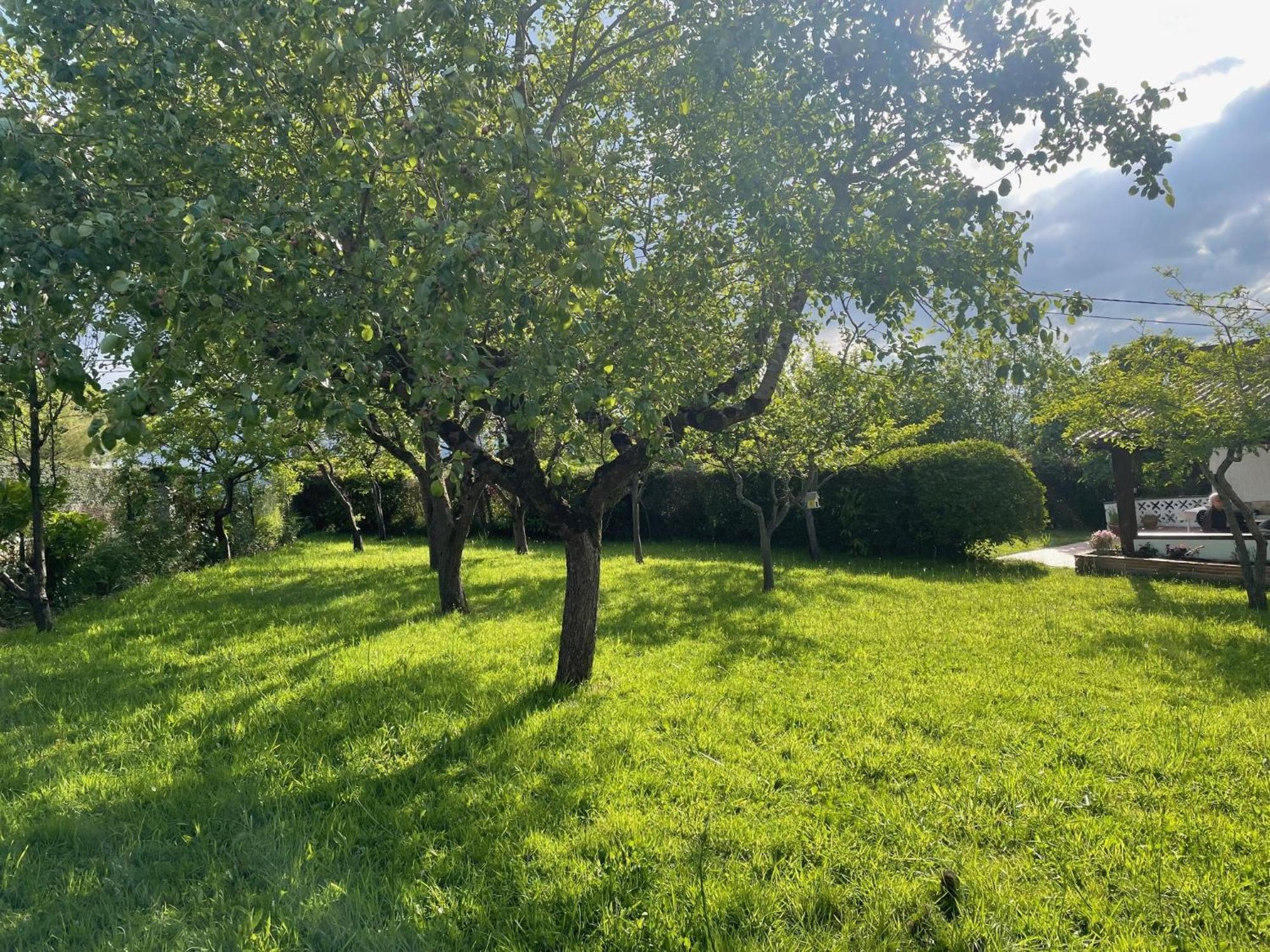 Casa Benjamin Βίλα Οβιέδο Εξωτερικό φωτογραφία